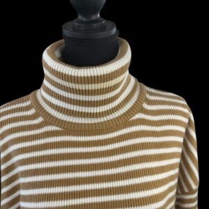 French Connection Striped Turtleneck Sweater